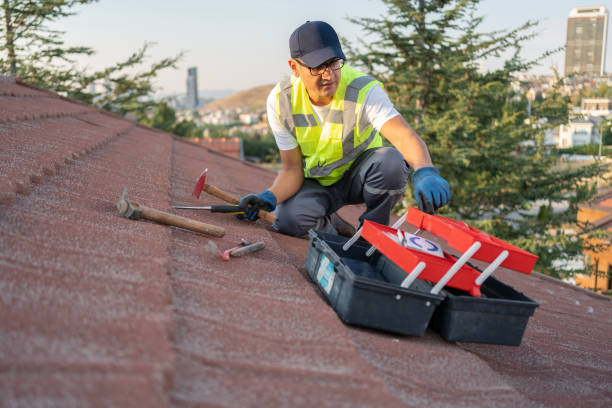 Best Vinyl Siding Installation  in Crooks, SD